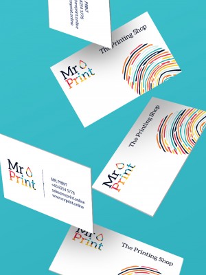 Premium Laminate Name Cards